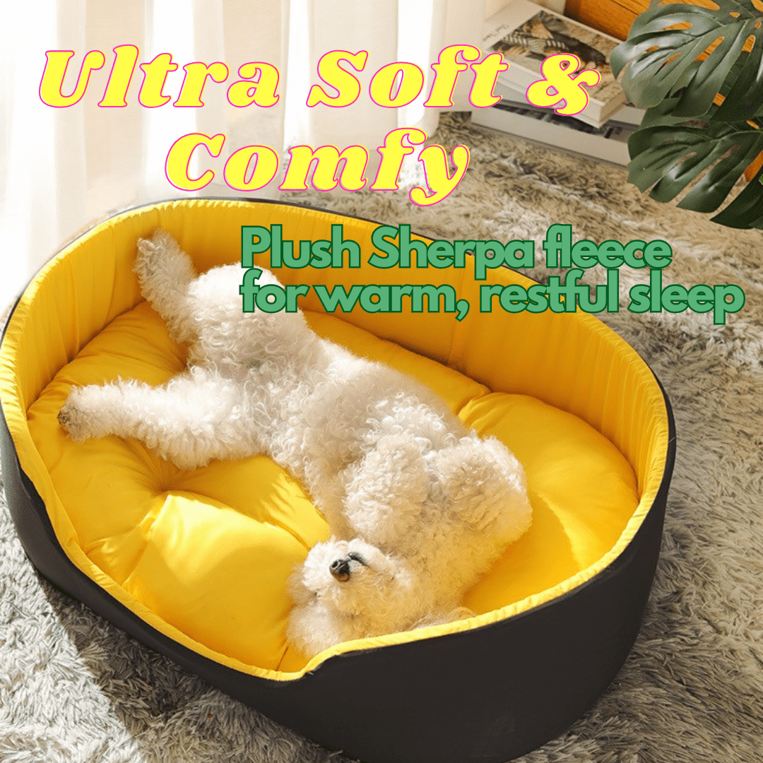 Cooling Dogbed - Joypup