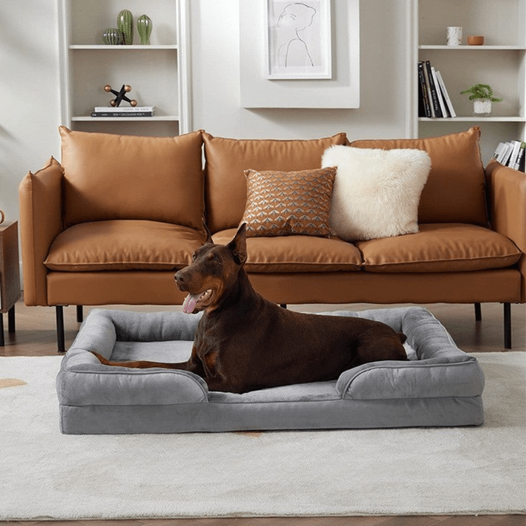 Orthopedic Dog Bed - Joypup