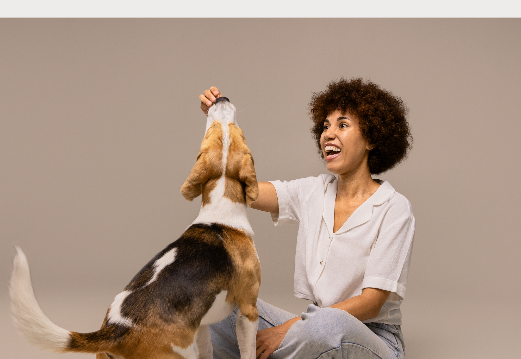 Woman playing with a dog on a plain background