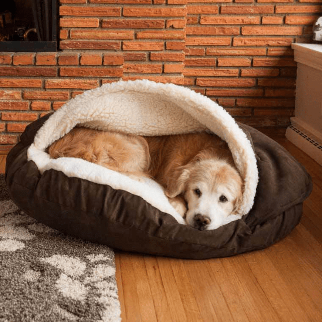 Calming Ultimate Anti-Anxiety Dog Bed – Cozy Hooded Bed. Dog lying in a brown pet bed against a brick wall. Joypup