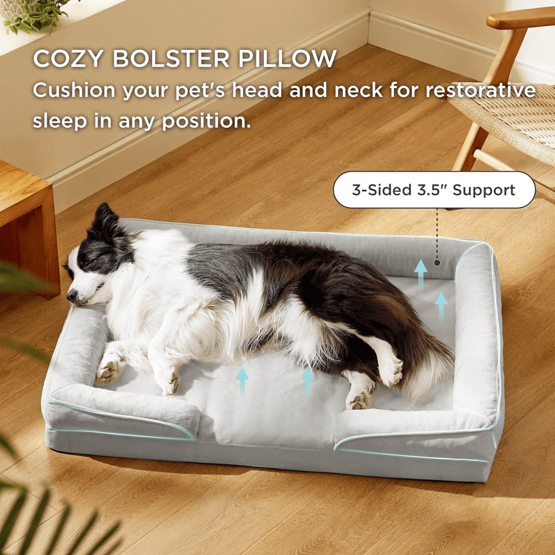 Orthopedic Dog Bed - Snoozy DreamDog lying on a Cozy Bolster Pillow with text describing its features.Joypup