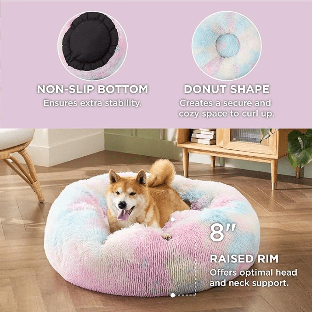 Dog lying on a colorful donut-shaped pet bed with features highlighted on a pink background.