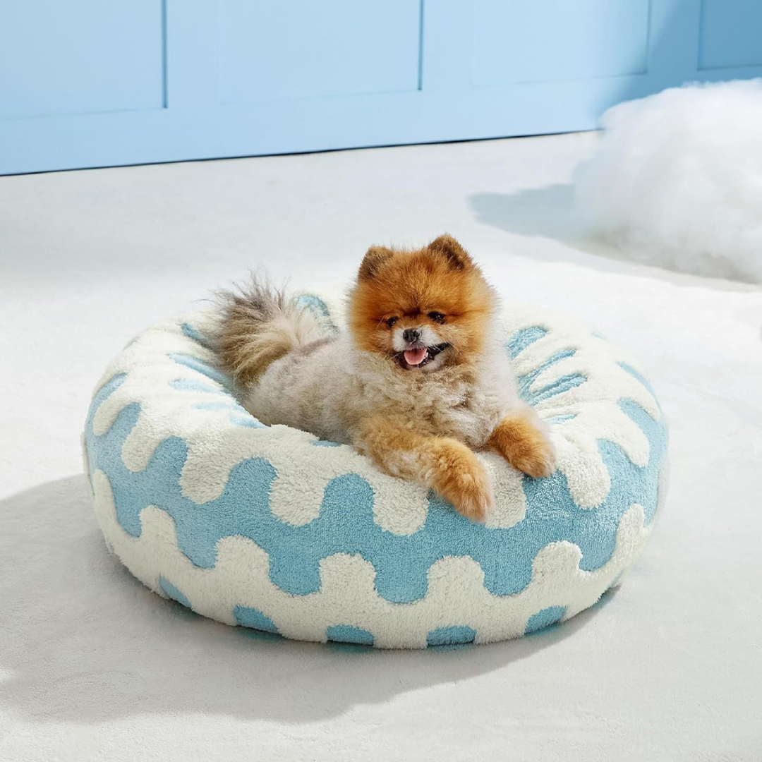 CozyPaw Donut Dog Bed – Modern Design, Soft & Warm, Washable Small dog sitting on a blue and white patterned pet bed.