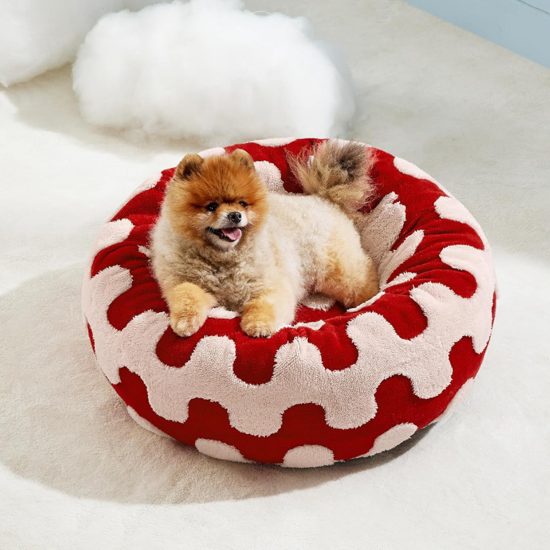 CozyPaw Donut Dog Bed – Modern Design, Soft & Warm, Washable Small dog sitting on a red and white patterned pet bed.