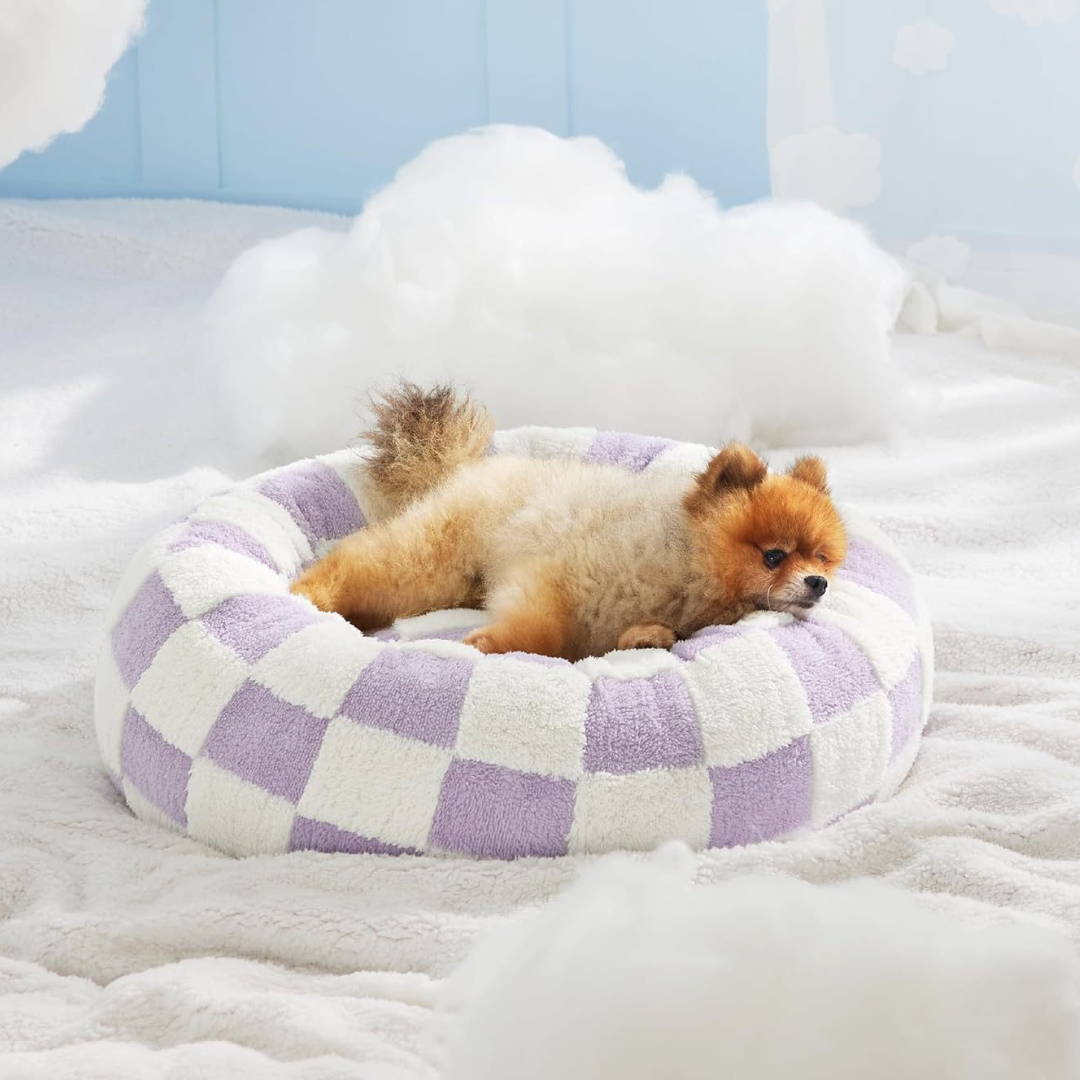 CozyPaw Donut Dog Bed – Modern Design, Soft & Warm, Washable Small dog lying on a checkered pet bed with a light blue wall in the background