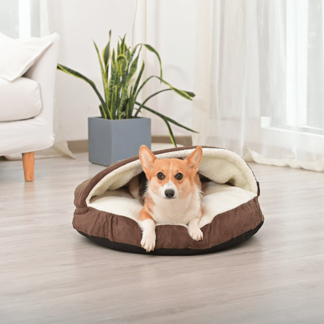 Calming Ultimate Anti-Anxiety Dog Bed – Cozy Hooded BedDog lying in a brown pet bed in a bright living room.Joypup