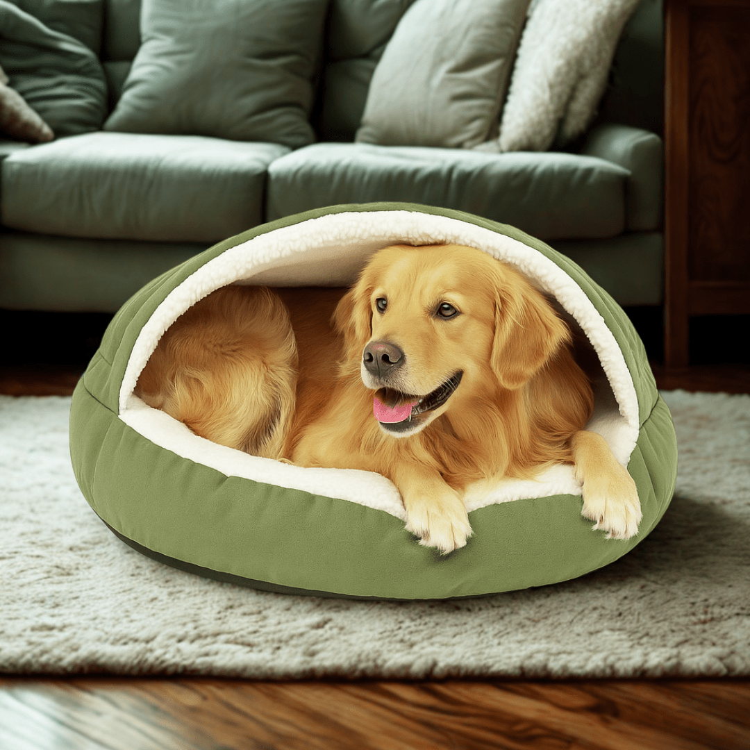 Calming Ultimate Anti-Anxiety Dog Bed – Cozy Hooded BedDog lying in a green pet bed in a cozy living room.Joypup