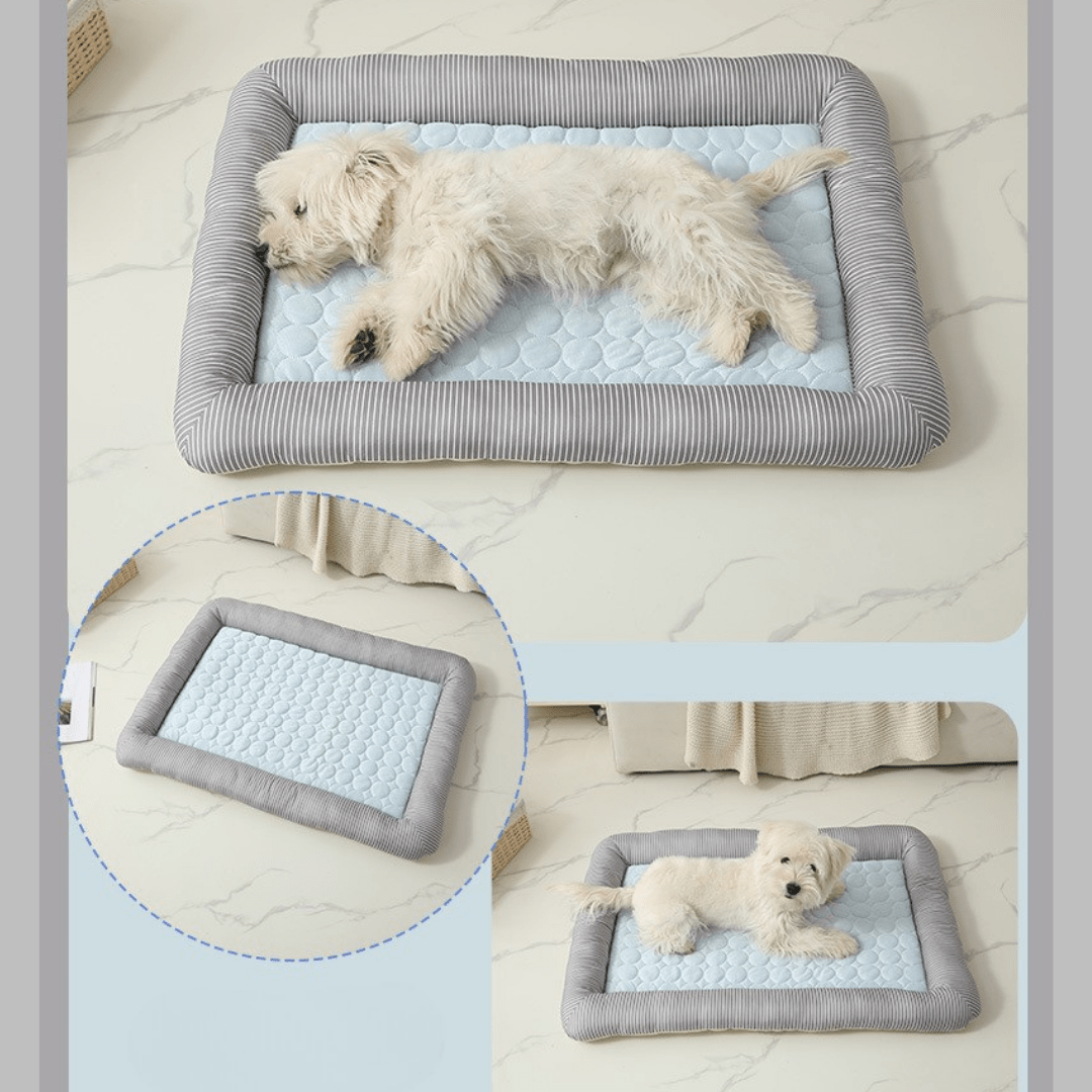 Cooling Dog Bed Pet Cool Mat - lying on a gray and blue cooling pet bed 