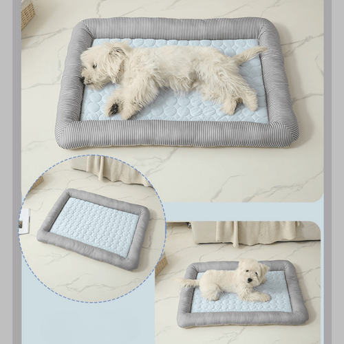 Cooling Dog Bed Pet Cool Mat - lying on a gray and blue cooling pet bed 