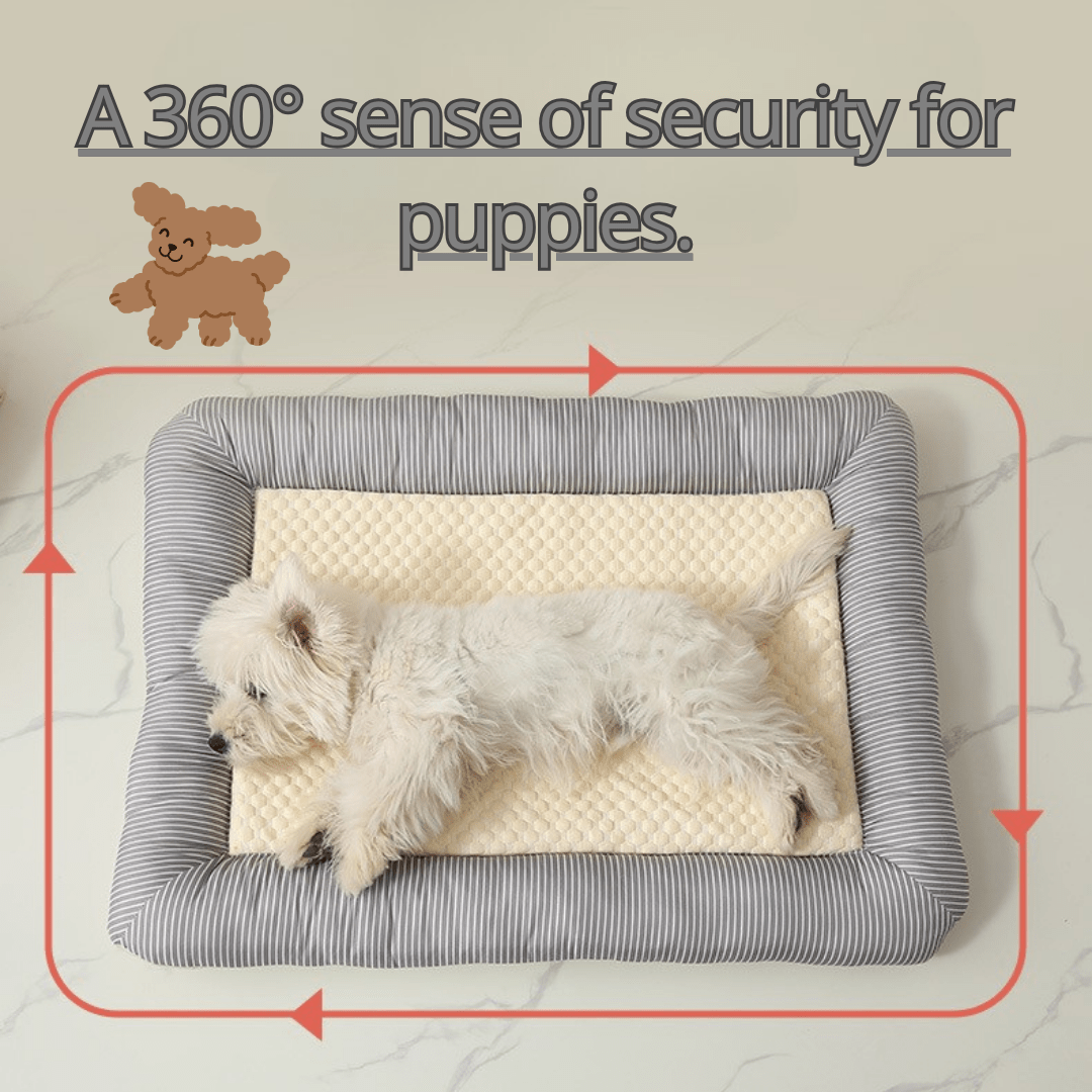 Cooling Dog Bed Dog lying on a cooling pet bed with text 'A 360° sense of security for puppies.' and a teddy bear icon.