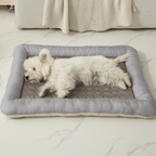 Cooling Dog Bed Cooling Dog Bed Pet Cool Mat - All SeasonsBed DogSmall white dog lying on a striped cooling pet bed in a living room.Joypup