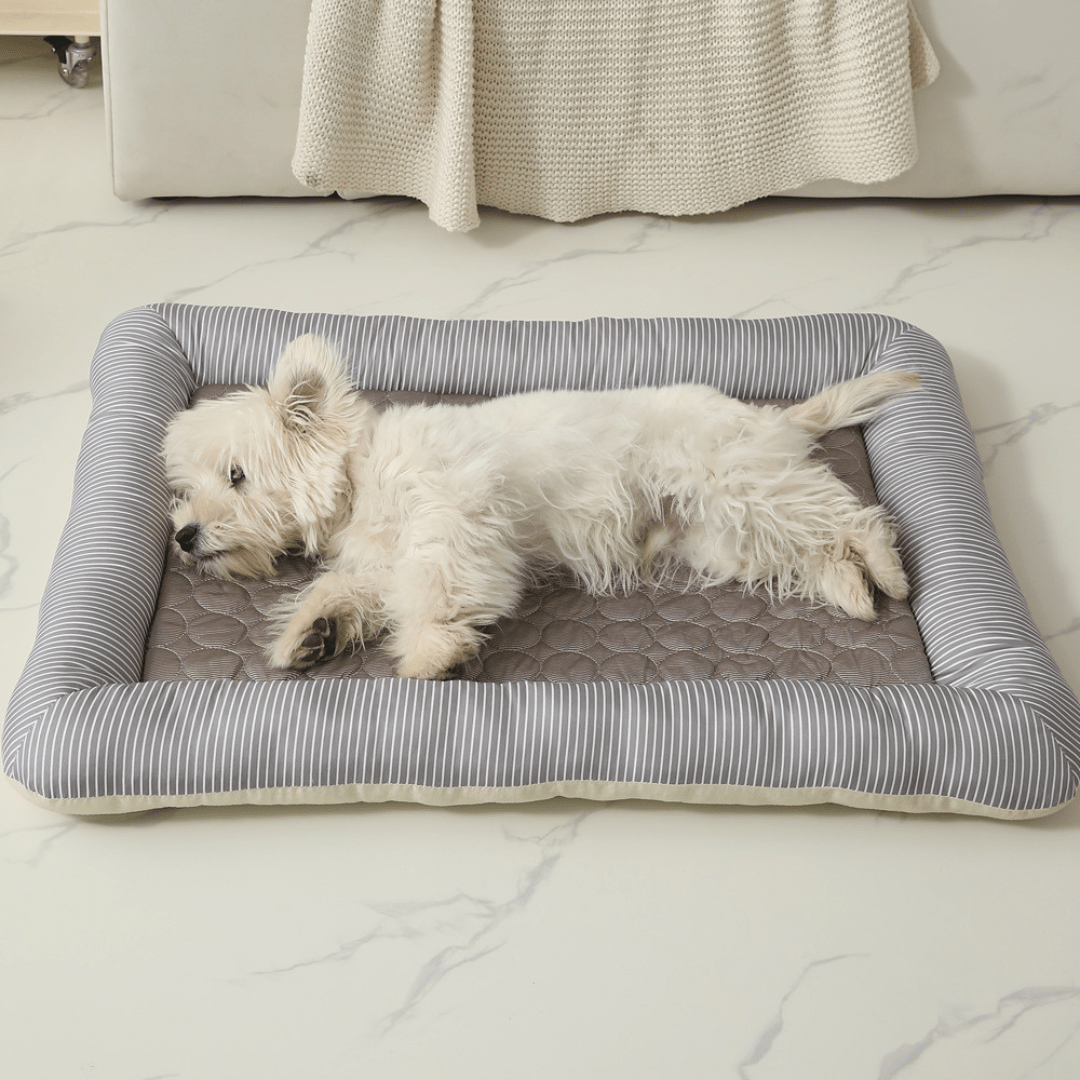 Cooling Dog Bed Cooling Dog Bed Pet Cool Mat - All SeasonsBed DogSmall white dog lying on a striped cooling pet bed in a living room.Joypup