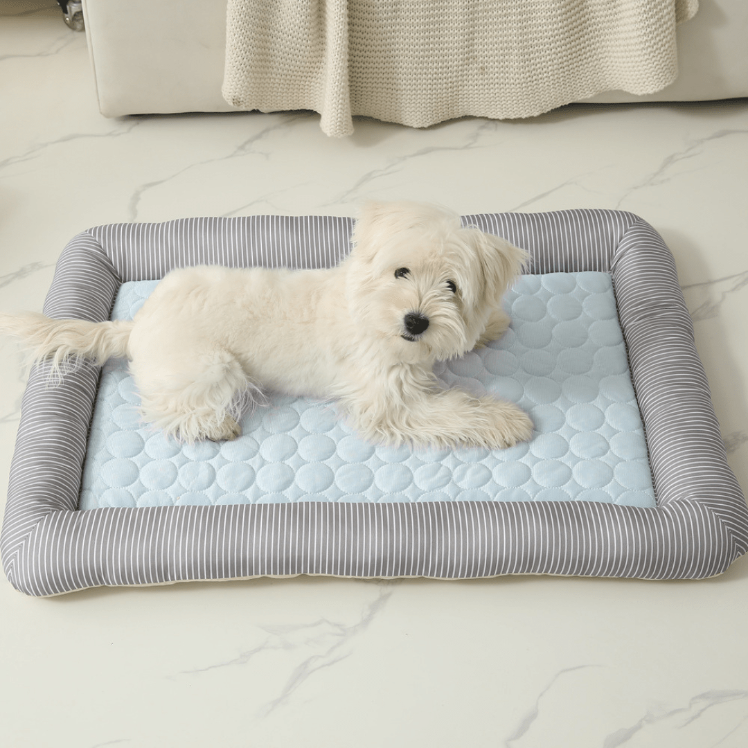 Cooling Dog Bed Cooling Dog Bed Pet Cool Mat - All SeasonsBed DogDog lying on a striped cooling pet bed in a home settingJoypup
