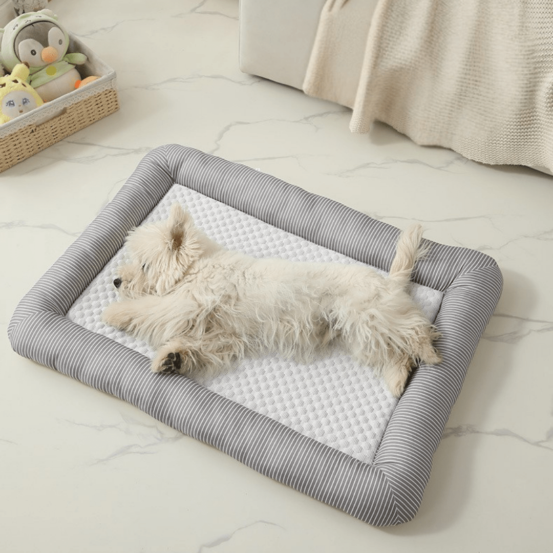 Cooling Dog Bed Small white dog lying on a striped cooling pet bed in a room with a light-colored floor.