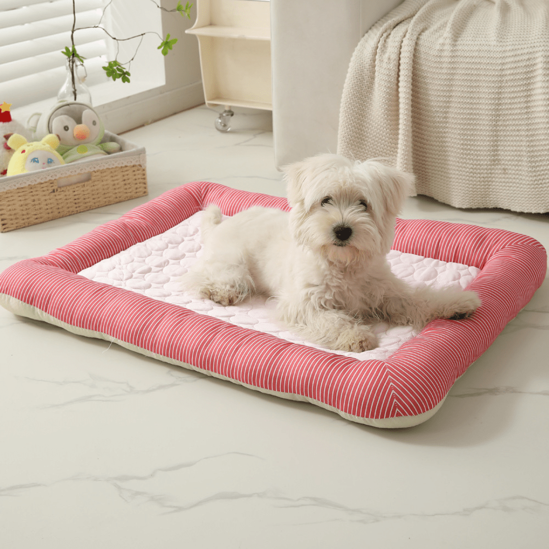 Cooling Dog Bed Small white dog lying on a pink and white cooling pet bed in a cozy room.
