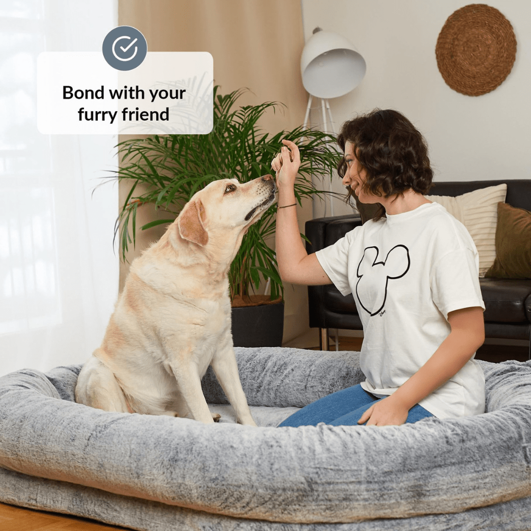 Human Dog Bed Person sitting on a large dog bed with a dog, with text 'Bond with your furry friend' above.
