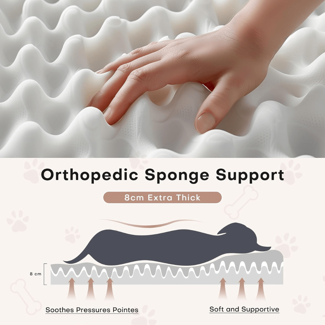 Human Dog Bed Orthopedic sponge support with a hand touching it, labeled as 8cm extra thick.