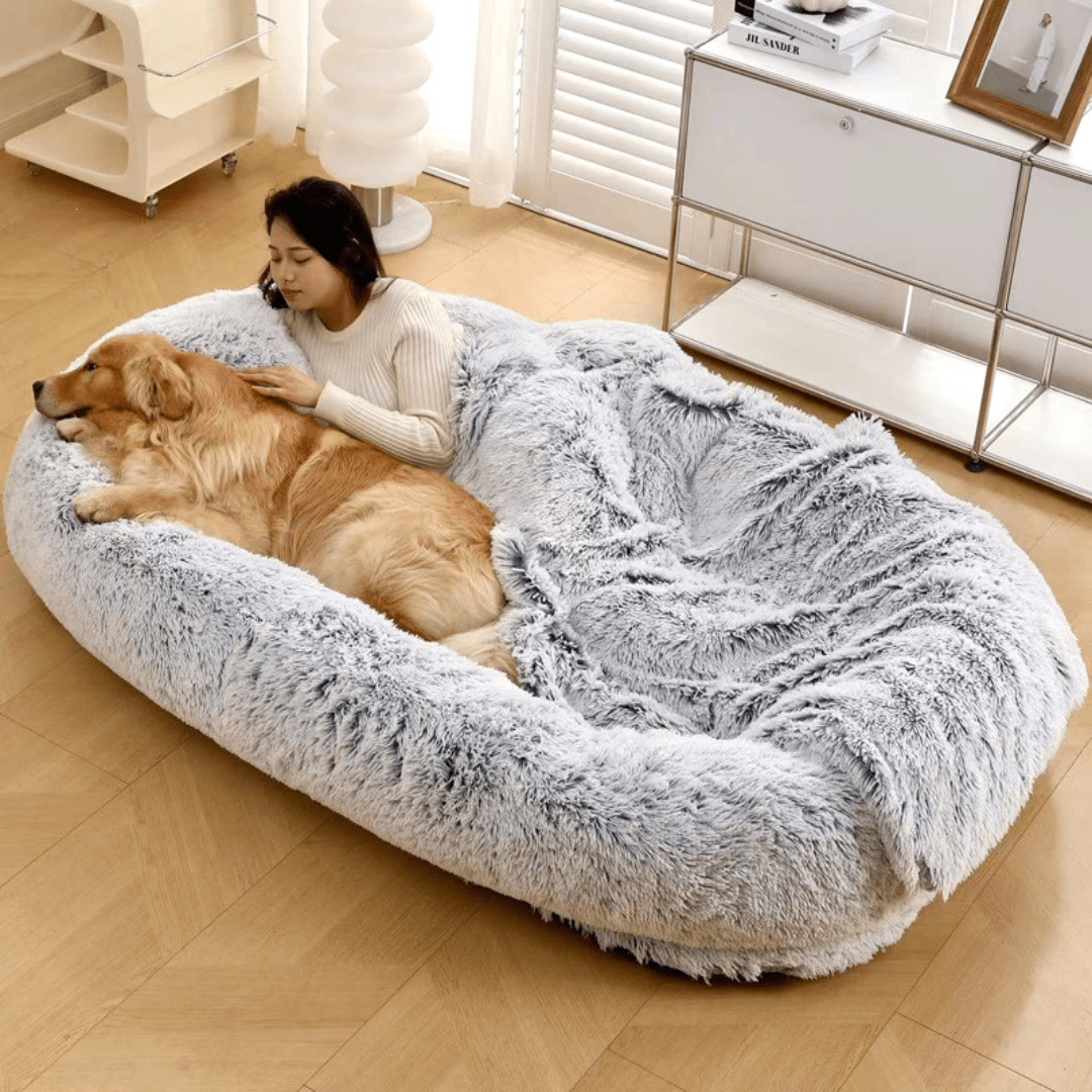 Human Dog Bed Woman petting a golden retriever on a fluffy gray pet bed in a modern living room.