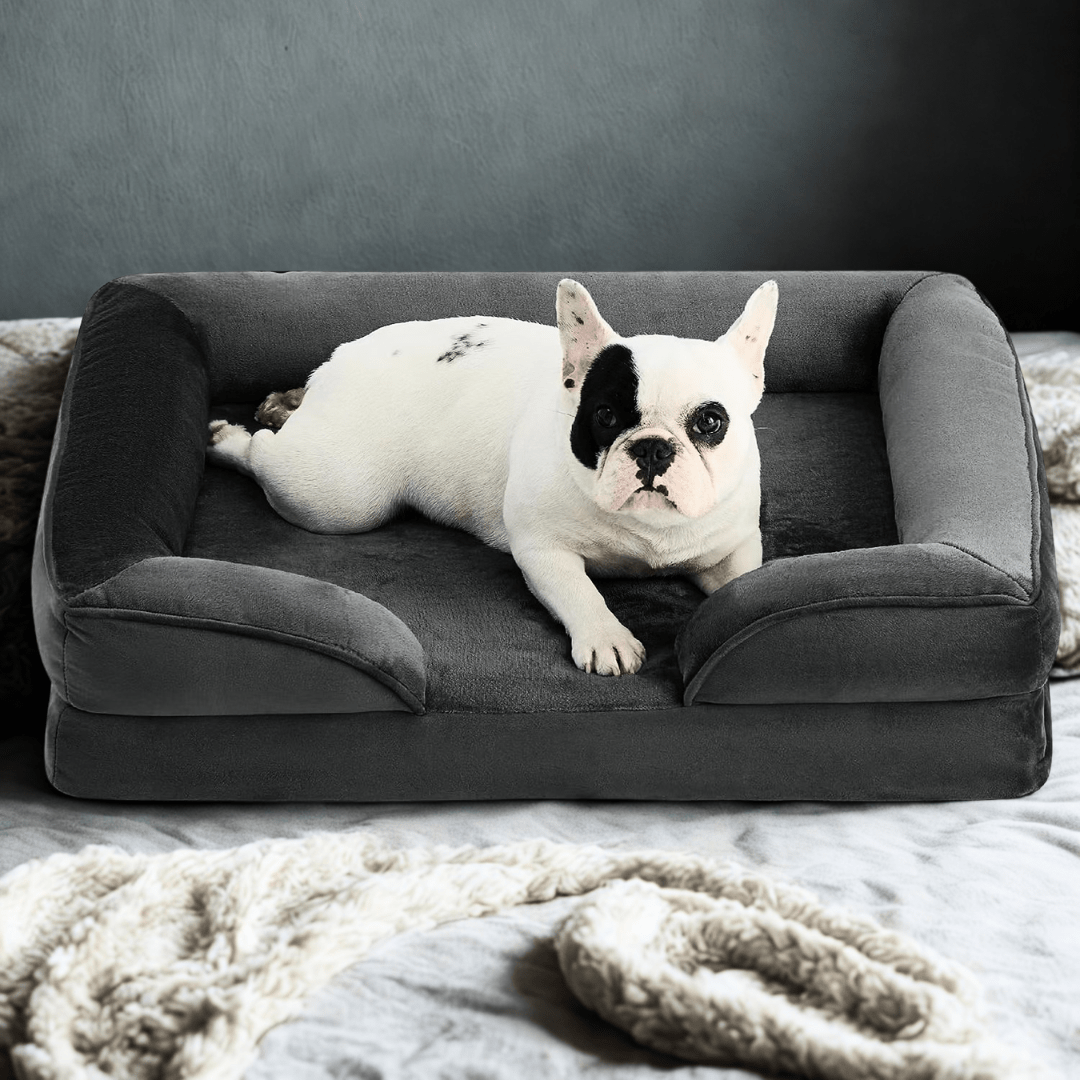 Orthopedic Dog Bed - Snoozy DreamDog lying on a gray orthopedic pet bed with a dark backgroundJoypup
