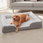 Orthopedic Dog Bed - Snoozy DreamDog lying on a large pet bed in a living room.Joypup