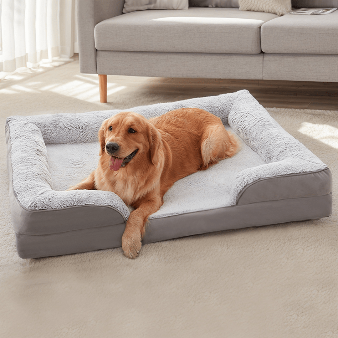 Orthopedic Dog Bed - Snoozy DreamDog lying on a large pet bed in a living room.Joypup