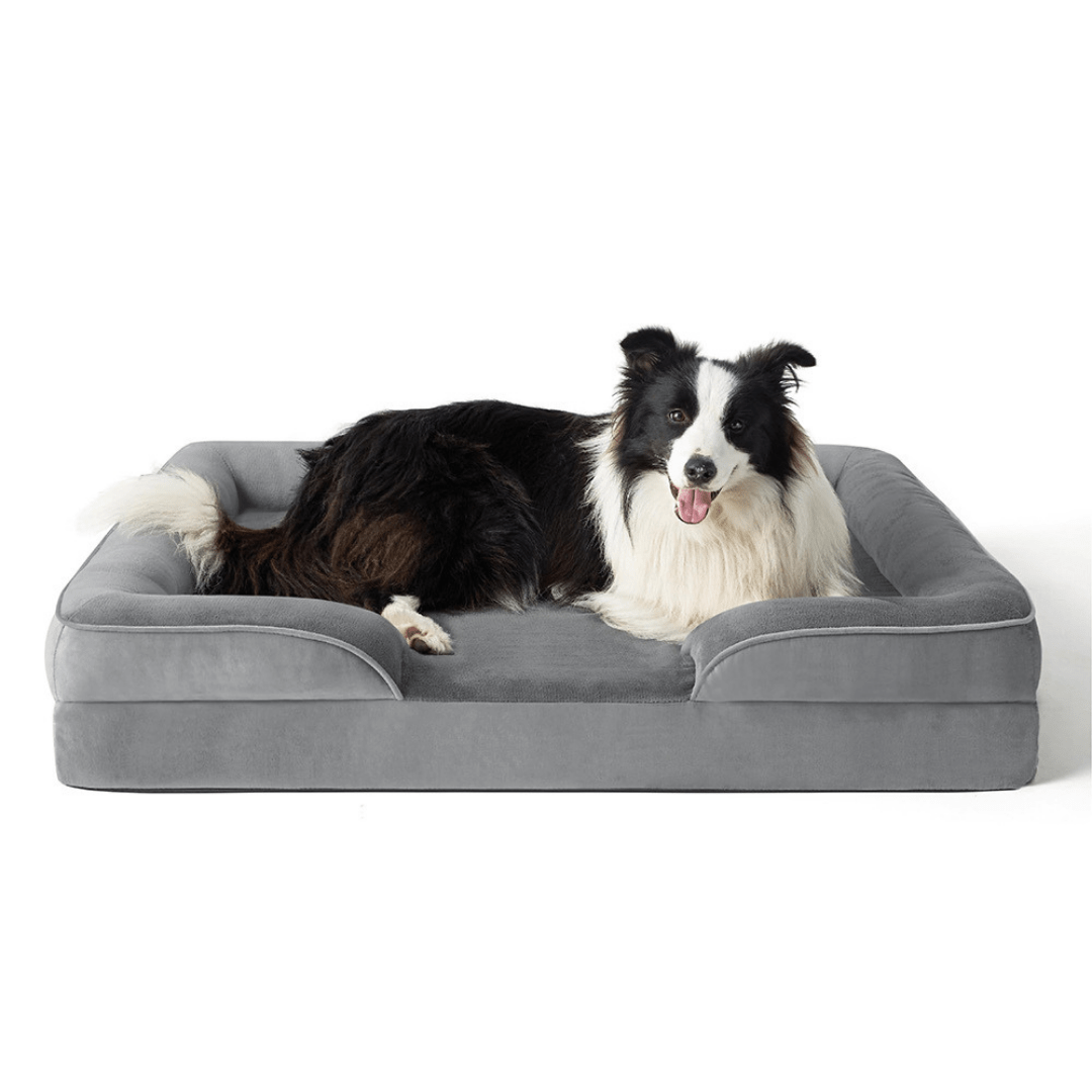 Orthopedic Dog Bed - Snoozy DreamDog lying on a gray orthopedic pet bed with a white backgroundJoypup
