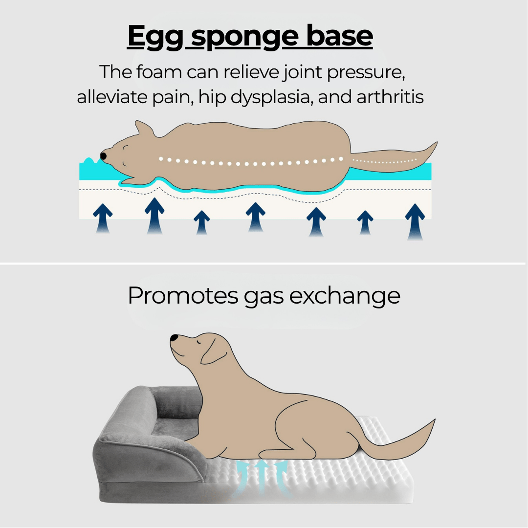 Orthopedic Dog Bed - Snoozy DreamIllustration of a dog lying on an egg sponge base with text explaining its benefits.Joypup