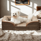 Orthopedic Dog Bed - Snoozy DreamWhite dog lying on a brown orthopedic pet bed in a sunlit room.Joypup
