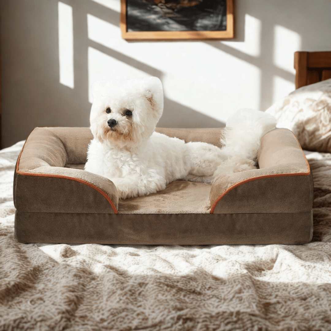 Orthopedic Dog Bed - Snoozy DreamWhite dog lying on a brown orthopedic pet bed in a sunlit room.Joypup