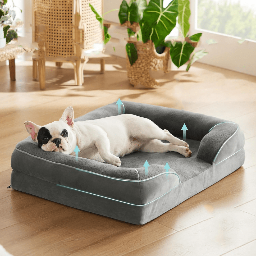 Orthopedic Dog Bed - Snoozy DreamDog lying on a gray pet bed with cushioned sides in a home setting.Joypup