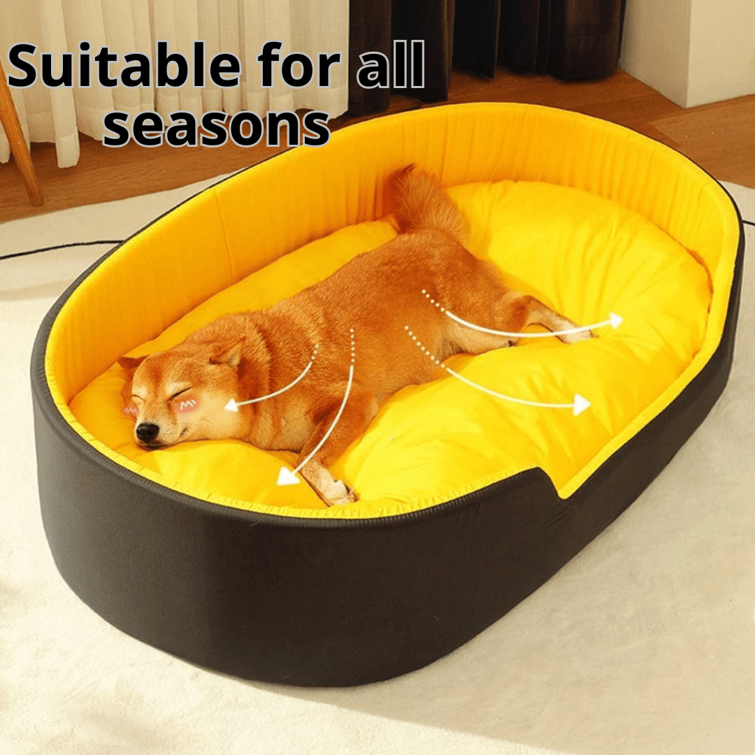  PetNet All-Season Dog Bed Dog lying on a yellow PetNet All-Season Dog Bed with text 'Suitable for all seasons' in a home setting.