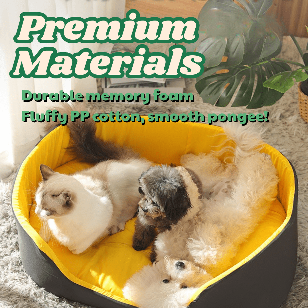 PetNet All - Season Ultra - Soft Dog BedTwo dogs and a cat lying on a yellow pet bed with text about premium materials.Joypup