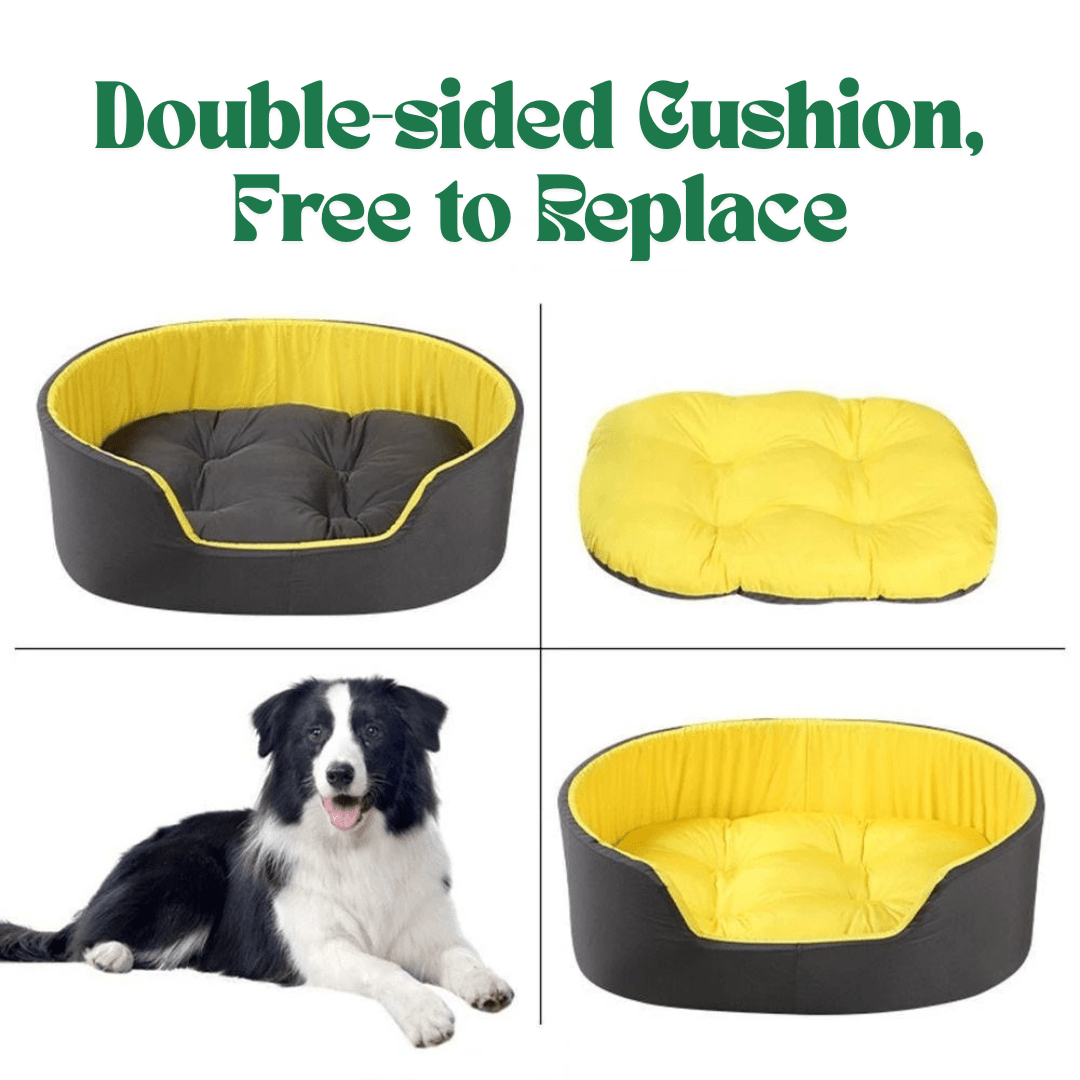 PetNet All - Season Ultra - Soft Dog BedDog bed with yellow and black sides, featuring a dog lying on it.Joypup