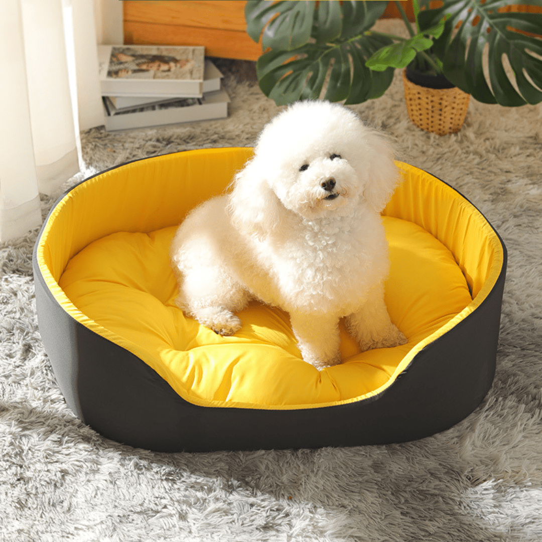 PetNet All - Season Ultra - Soft Dog BedWhite dog on a yellow and gray pet bed in a home settingJoypup
