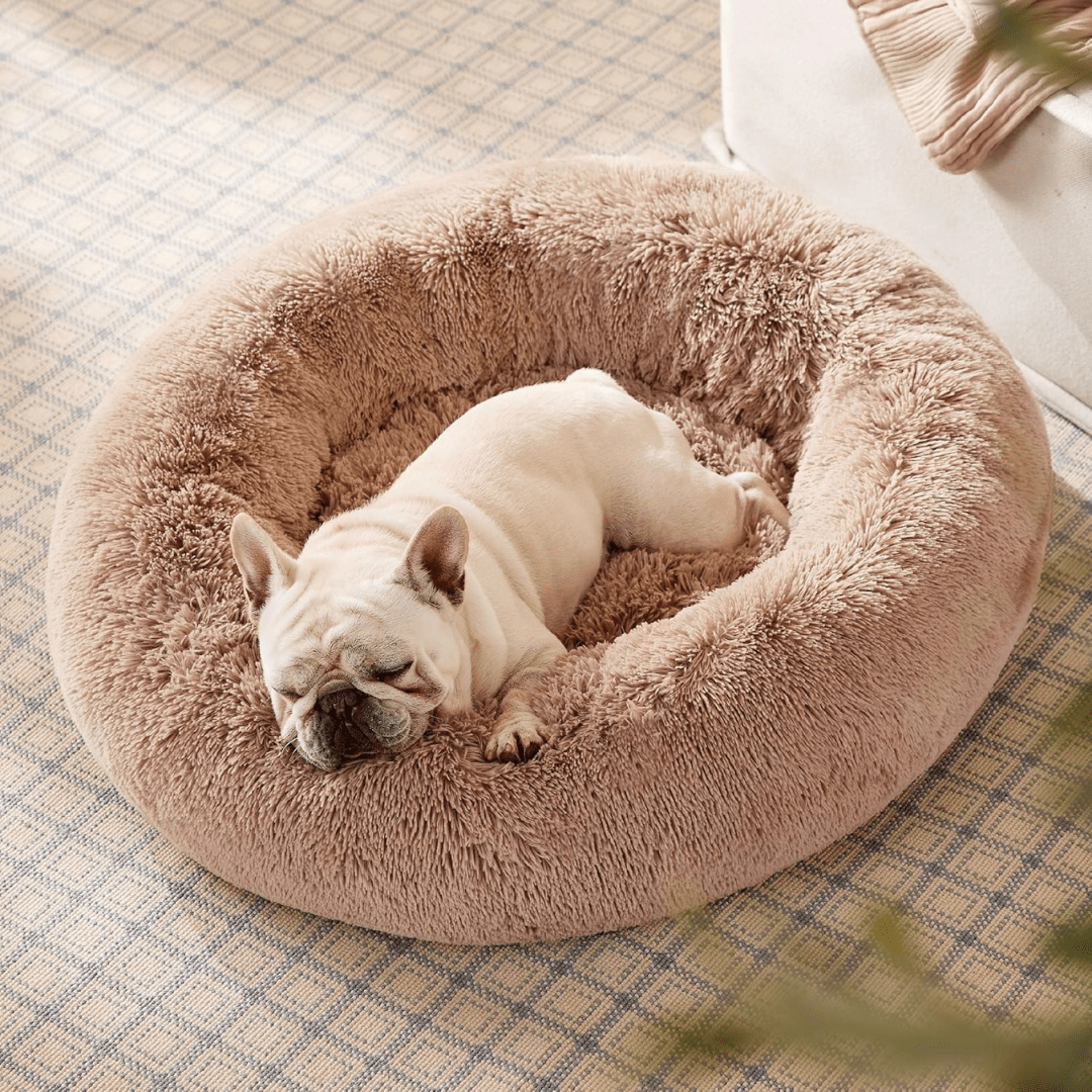 Soft Donut Cuddler Pet Bed - Ultimate Anti-AnxietyDog sleeping on a fluffy pink donut bed in a home settingJoypup