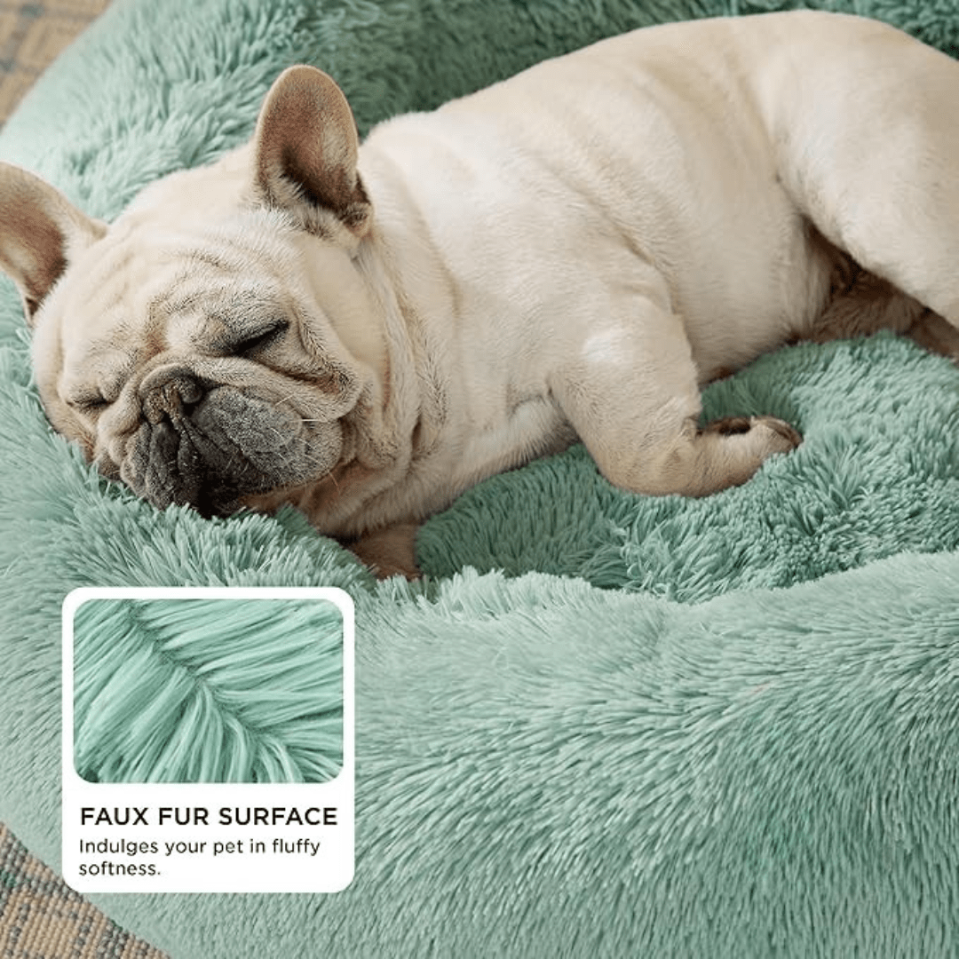 Dog sleeping on a plush green pet bed with a close-up of the faux fur surface.