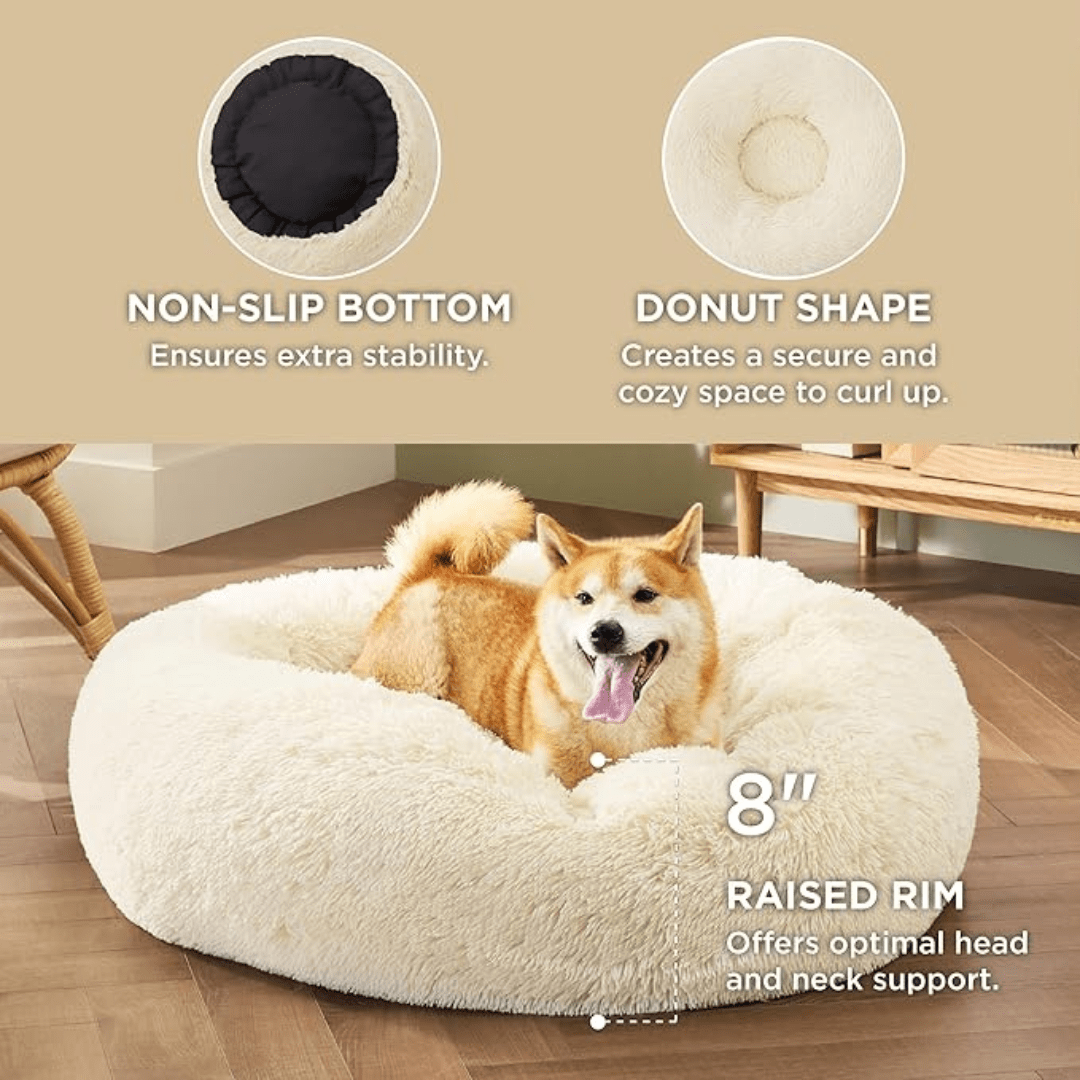 Dog lying on a fluffy white donut-shaped pet bed with features highlighted.